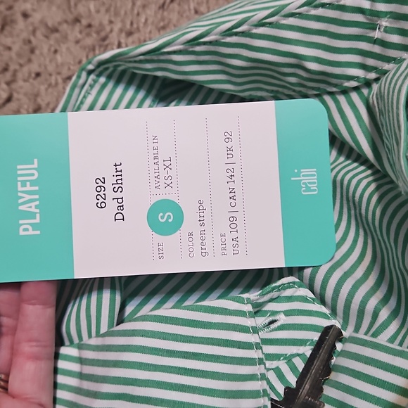 NWT CAbi Dad Shirt Green and White Striped Button Down Shirt - Picture 12 of 14